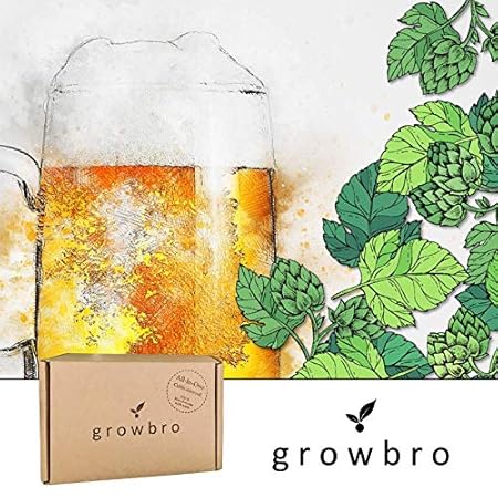 growbro | Hopfen Anzuchtset | Der Weg zu deinem eigenen Bier | Geschenk für Männer, Freunde & Papa, Geburtstagsgeschenk, Gast