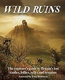 Wild Ruins: The Explorer's Guide to Britain's Lost Castles, Follies, Relics and Remains by Dave Hamilton