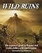 Wild Ruins: The Explorer's Guide to Britain's Lost Castles, Follies, Relics and Remains by Dave Hamilton