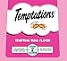Temptations Classic Crunchy and Soft Cat Treats Blissful Catnip Flavor, 3 oz. Pouch (Pack of 12)