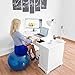 Lazy Monk Exercise Ball 55cm / 65cm, Black/Blue Color - Fitness Desk Sitting Chair, Pregnancy Ball Stability Anti-Burst, Yoga Workout Pilates Balance Gym Physio Ball w/Pump, Excersize Swiss Ball