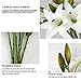RERXN Artificial Tiger Lily Latex Real Touch Flower Home Wedding Party Decor,Pack of 5 (White)
