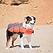 Outward Hound Ripstop Medium Dog Life Jacket Life Preserver for Dogs, Dark Pink, Medium