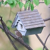 Home Bazaar Hand Made Little Wren Yellow Bird House Bird Friendly Home Decor Buy Online At Best Price In Uae Amazon Ae