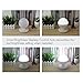 OxyLED Gravity Sensor LED OFF/ON Night Lamp, USB Rechargeable, Warm Light (1_pack)