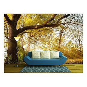 a Huge Old Oak Tree in Autumn Park Lighted Sun Sunrise - Removable Wall Mural | Self-Adhesive Large Wallpaper - 66x96 inches