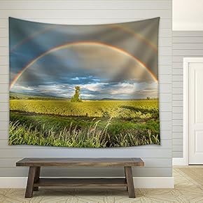 Tree in a Blueberry Field Under a Double Rainbow - Fabric Wall Tapestry Home Decor - 51x60 inches