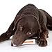 Petstages Beyond Bone Synthetic Chew Dog Toy White, Medium