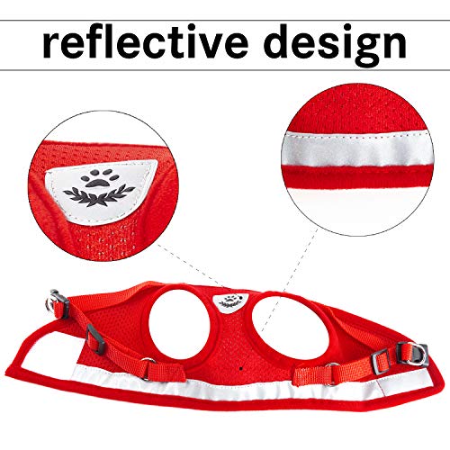 Kamots Beauty Escape Proof Cat Harness and Leash for Walking Adjustable Soft Mesh Pet Vest with Lead for Kitten Puppy Rabbit -(Red,XS)