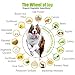 Pawrennial Glucosamine for Dogs - 140 Soft Chews Treats - Natural & Organic Hip and Joint Supplement for Dogs, Glucosamine Chondroitin for Dogs, MSM Turmeric & Hemp Seed Virgin Oil Omega 3-6