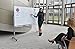 LUXOR Mobile Dry Erase Double-Sided Magnetic Whiteboard with Aluminum Frame and Stand - 72