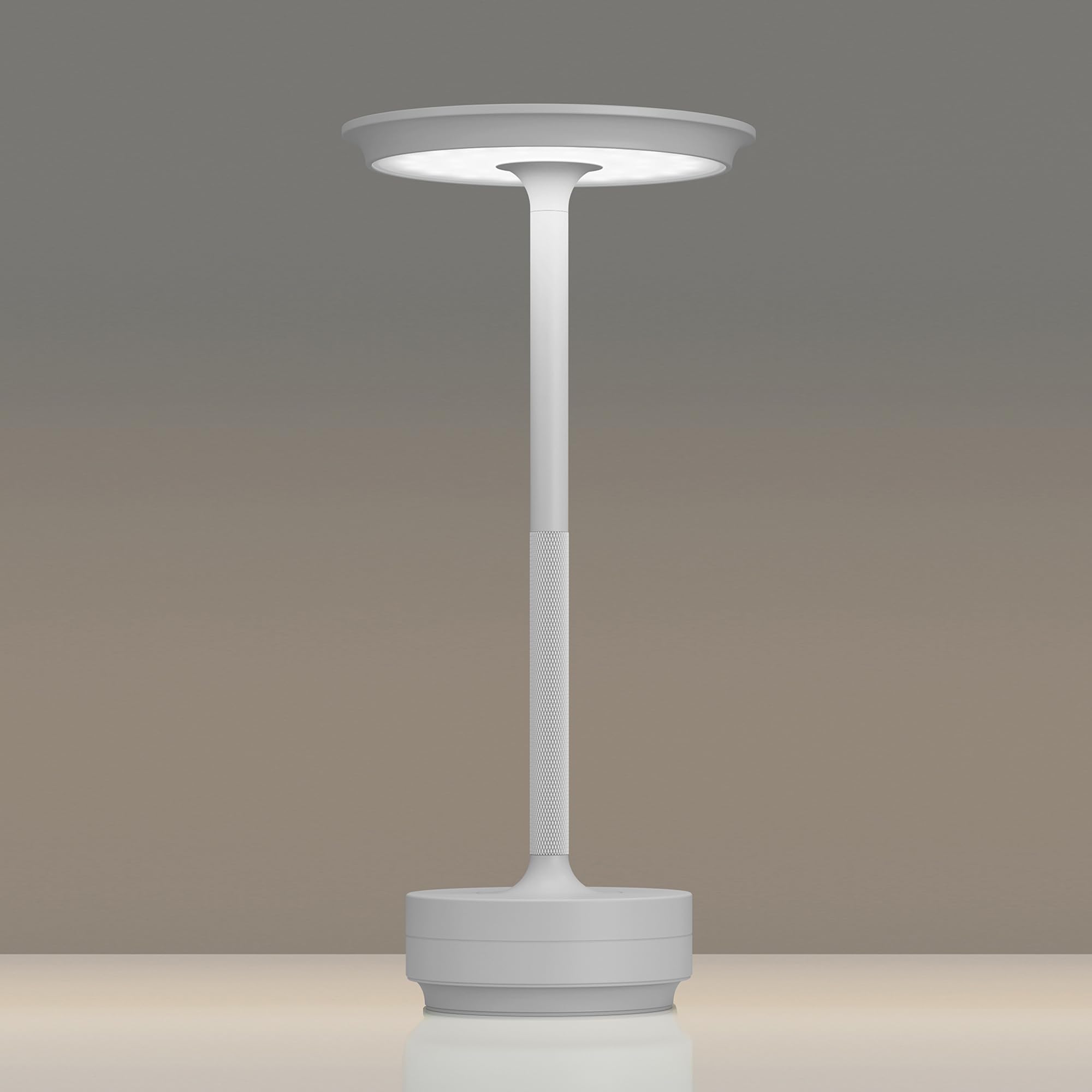 TBBGA 1 Pack Rechargeable Table Lamps Cordless, Portable 5000mAh Outdoor Table Light, 3 Color Stepless Dimming LED Table Lamp with Memory Function, for Home/Dinner/Patio/Restaurant.(Light Gray) Image