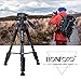 Camera Tripod 55-inch Q111 with Phone Holder,Cell Phone Tripod Stand Protable Lightweight for Canon Nikon Sony DSLR Projector Webcam Spotting Scopes Gopro and Smartphones Live(Black)