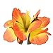 Sumind Hair Flowers Hawaiian Hairclips Flower Hair Clips for Costume Party Decoration Supplies, 6 Colors, 12 Pieces