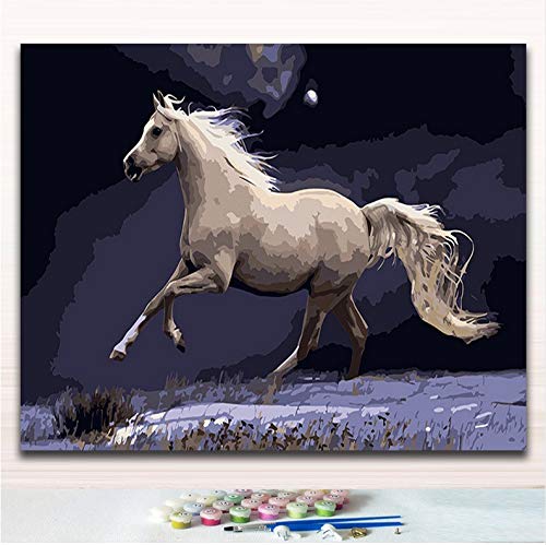 Qazzsf Colorare Con I Numeri Un Cavallo Nero Che Corre Sotto