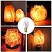 Betus [Original Replacement Long Lasting 15 Watt Dimmable E12 Socket Incandescent Candelabra Salt Lamp Bulb - Value Pack of 6(Warm Light)