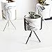 Topaty Iron Shelf Marble Succulent Plant Pot Cactus Pots Ceramic Pot Concrete Planters Modern Home Decor for Garden Decor (Gold,S M L) (M : 3.152.95/5.7inch)