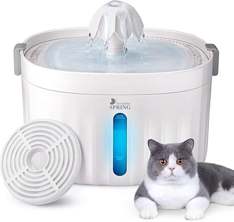 cat water fountain amazon uk