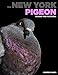 The New York Pigeon: Behind the Feathers by 