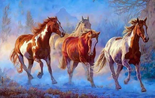 Frameless Animals Horses DIY Figure Oil Painting Paint by Numbers Kit on Canvas for Home Decor
