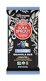 Two Moms in the Raw Soul Sprout Gluten Free Granola Bars, Bring on the Blueberry