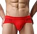 Astarin Mens Low Rise Briefs 3-Pack (Large, 3 Pack 4)