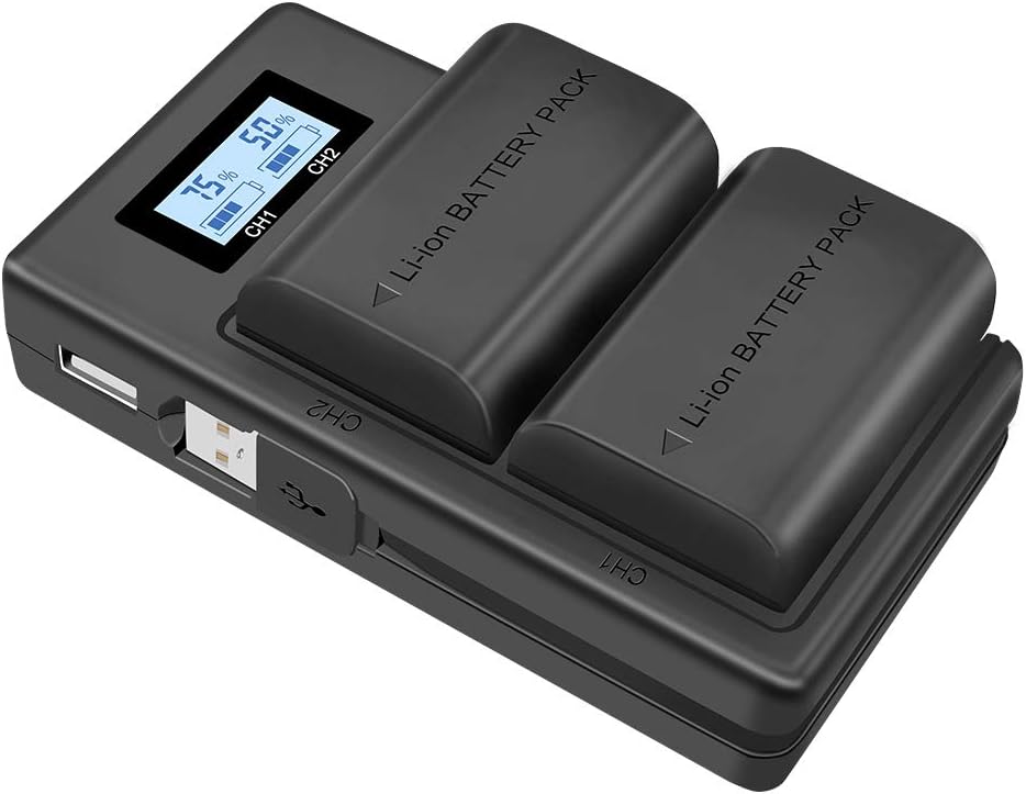 CITYORK LP-E6 LP-E6N (2-Pack 2000mAh) Replacement Battery and Rapid Dual USB Battery Charger for Canon EOS 5D Mark II/III/IV