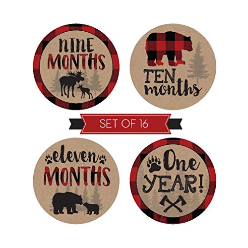 16 Woodland Bear Baby Milestone Stickers, Rustic Winter 12 Monthly Photo Picture Props For Boy or Girl Infant Onesie, 1st Year Months Belly Decal, Scrapbook Memory Registry Gift Lumberjack Shower Idea