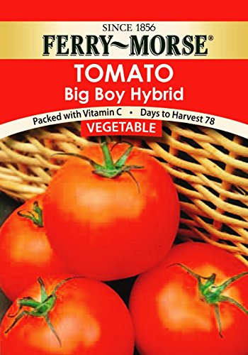 Ferry morse big boy tomato seed packet