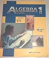 ALGEBRA 1 SECOND EDITION (ABEKA BOOKS)