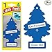 Little Trees Car Air Fresheners Ocean Mist Scent (24 Pack)