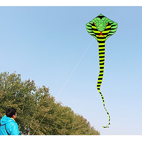 Besra 16m Large Cobra Snake kite 52ft Colorful Rattlesnake Kite with 15m Long Tails Outdoor Fun Sports with Flying Tools (Green) - Thumbnail 6