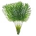 ShoppeWatch Artificial Palm Leaves with Stem (20 Pcs) Tropical Philodendron Monstera Fronds Party Decorations Faux Palm Tree Plant Leaf Fake Imitation Ferns Branches Home Kitchen Plastic Decor AF49