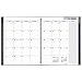 DayMinder Professional Weekly / Monthly Appointment Book / Planner 2017, 8-1/2 x 11