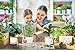 Fieren Indoor Planter pots,Succulent pots,Small Flower Pot,Indoor Plant Stand for 4.3