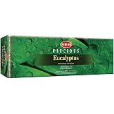 Hem Eucalyptus for Cleansing &amp; Relaxing Incense Sticks - Pack of 6 (20 Sticks Each)