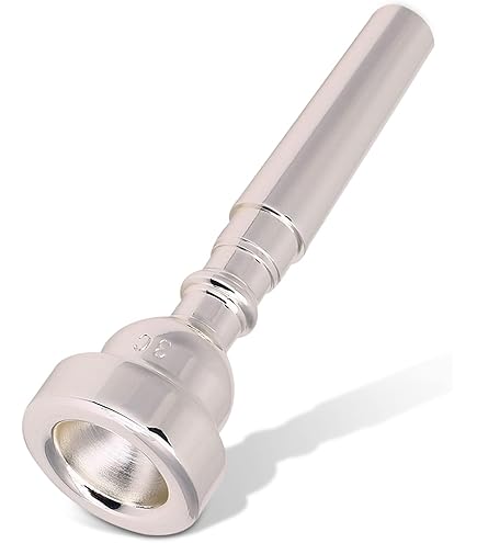 Amazon.com: Bach Gold Rim Trumpet Mouthpiece - 3C : Everything Else
