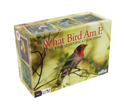 Bird Trivia Game 