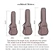 HOT SEAL Simple Linen 10MM Classic Thick Durable Ukulele Case Bag with Large Storage (21in, Brown)