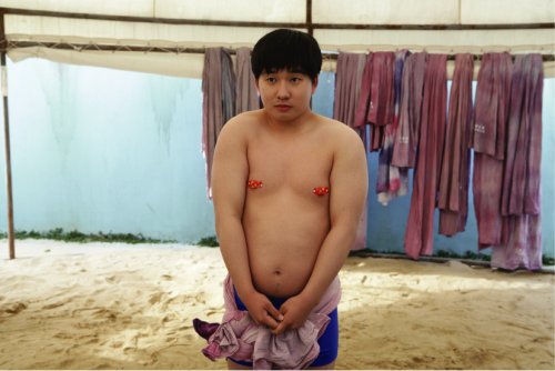 Amazon Com ヨコヅナ マドンナ Dvd Movies Tv