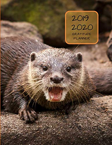 2019 2020 15 Months Sea Otters Gratitude Journal Daily Planner: Academic Hourly Organizer In 15 Minute Interval; Appointment Calendar With Address Book; Monthly & Weekly Goals Diary With Quotes by ZenWerkz