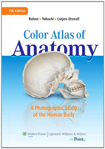 Color Atlas of Anatomy: A Photographic Study of the Human Body