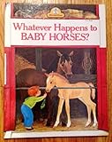 Hardcover Whatever Happens to Baby Horses? Book