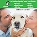 Probiotics for Dogs Digestive Health - Dog Probiotics and Digestive Enzymes - Allergy Relief for Dogs - Probiotic for Dogs Gut Health - Puppy Probiotic Tummy Treats - 120 Dog Probiotic Chews