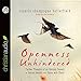 Openness Unhindered: Further Thoughts of an Unlikely Convert on Sexual Identity and Union with Christ