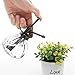 MyGift Decorative Small Glass Vintage Plant Mister Spray Bottle with Top Pump