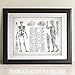 Human Anatomy - Muscular and Skeletal Systems - 11x14 Unframed Art Print - Makes a Great Clinic or Office Decor and Gift Under $15 for Doctors, Nurses, Nursing and Medical Students