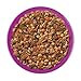 Purina Beneful Gravy Wet Dog Food, Prepared Meals Simmered Beef Entree - (8) 10 oz. Tubs