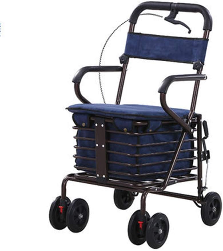 disabled baby walker