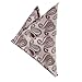 DEE7B16-18 Beautiful Patterned Perfect Gifts Microfiber Hanky Set By Dan Smith